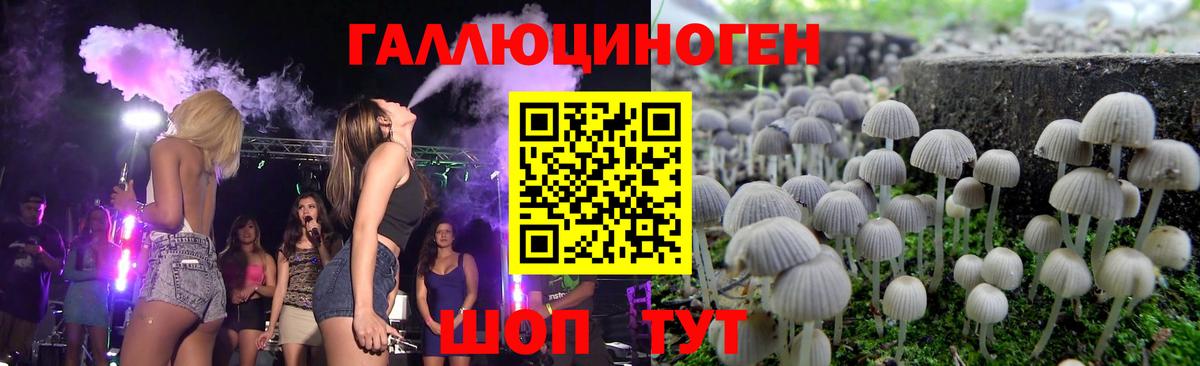 Галлюциногенные грибы мицелий  Вход с VPN  Сланцы 